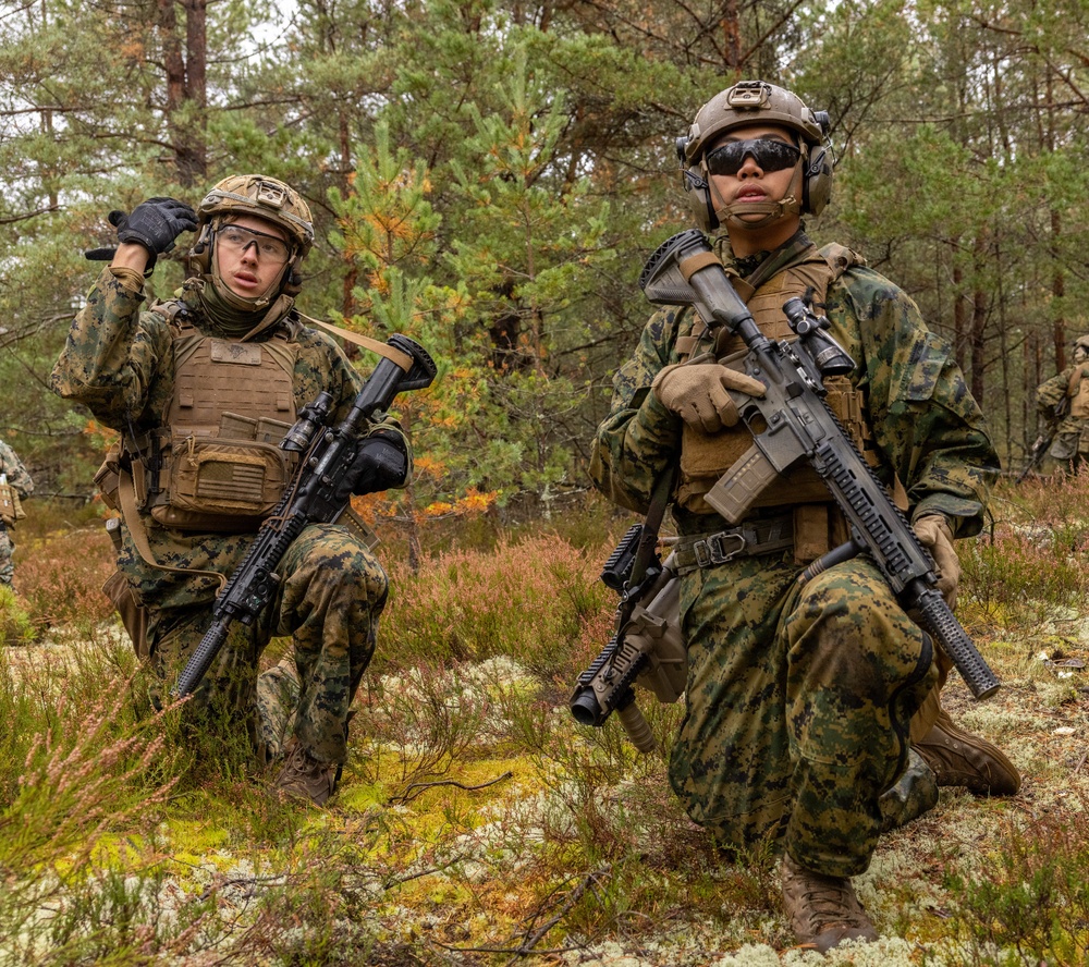 U.S. FASTEUR Marines perform squad training