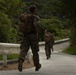 12th LCT Marines Participate in a Jungle Endurance Test at JWTC
