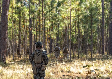 2nd Marine Regiment MCCRE: V32 Live Fire