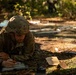 Marne Division Soldiers build readiness