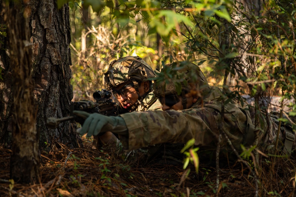 Marne Division Soldiers build readiness