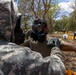 71st Chemical Co. validation exercise decontamination operation