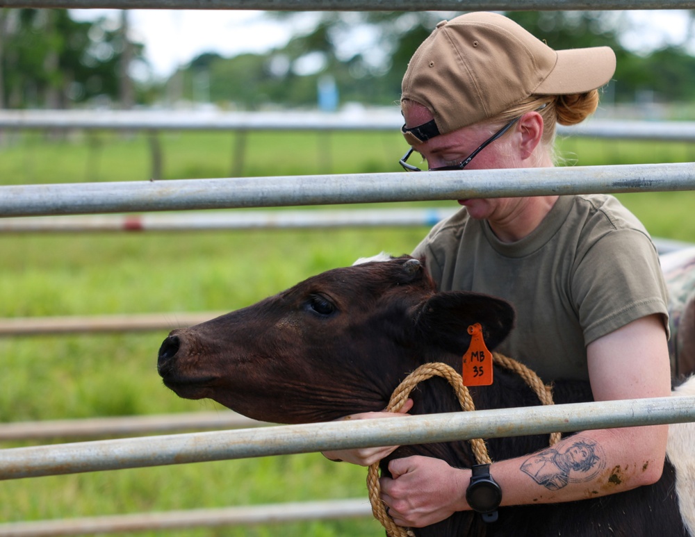 Pacific Partnership 2025 Veterinary Service Members Visit Vanuatu Agriculture College, in Luganville, Vanuatu