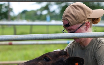 Pacific Partnership 2025 Veterinary Service Members Visit Vanuatu Agriculture College, in Luganville, Vanuatu
