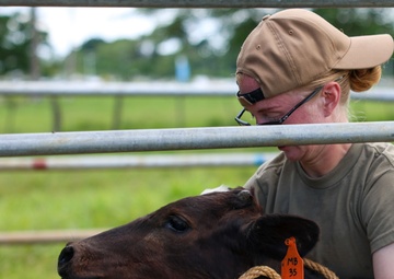 Pacific Partnership 2025 Veterinary Service Members Visit Vanuatu Agriculture College, in Luganville, Vanuatu