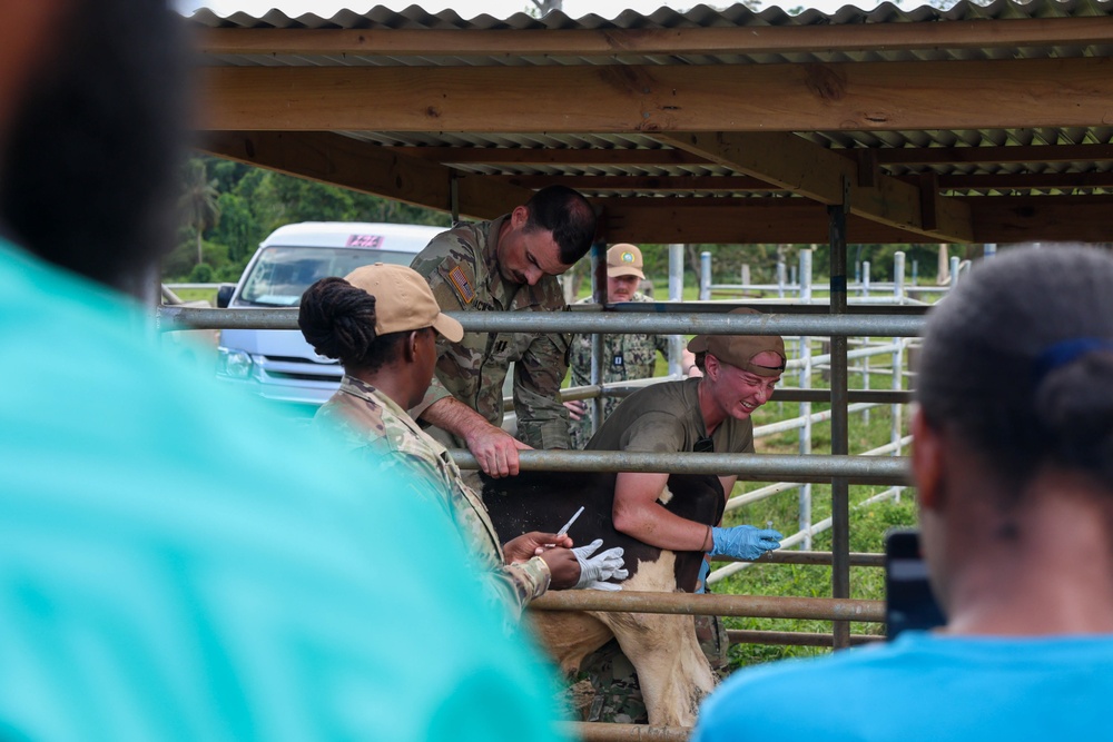 Pacific Partnership 2025 Veterinary Service Members Visit Vanuatu Agriculture College, in Luganville, Vanuatu
