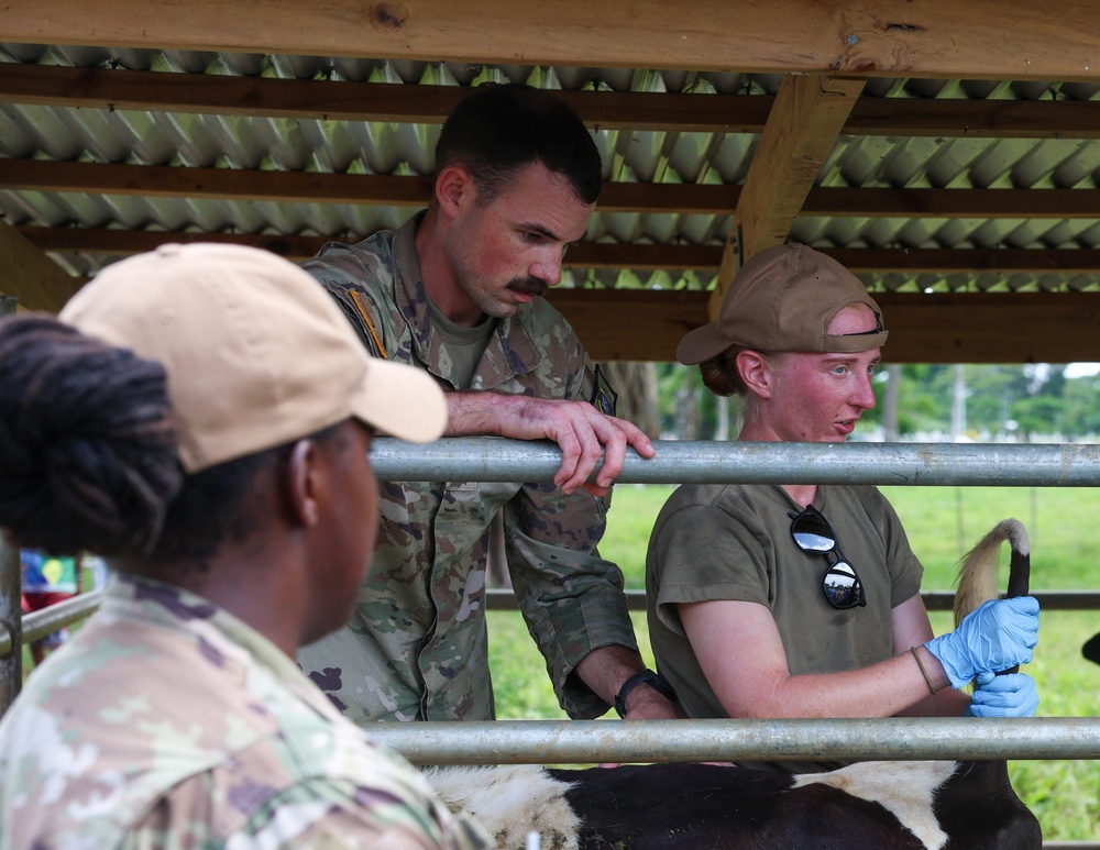 Pacific Partnership 2025 Veterinary Service Members Visit Vanuatu Agriculture College, in Luganville, Vanuatu