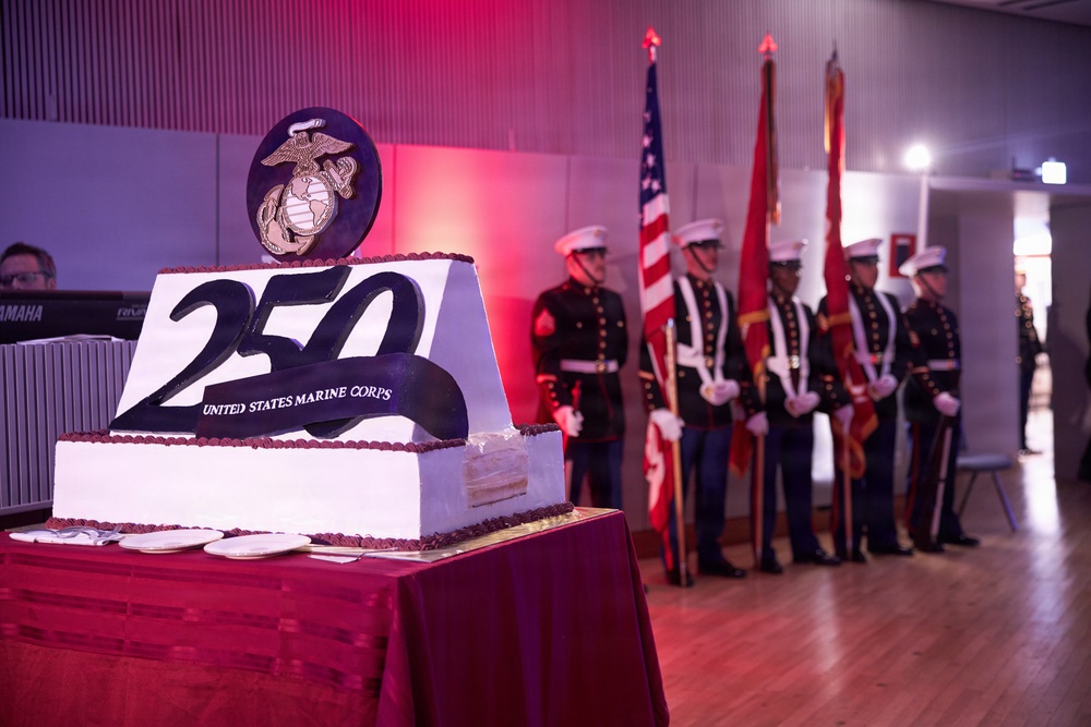 MARFOREUR/AF 250th Marine Corps Birthday Ball