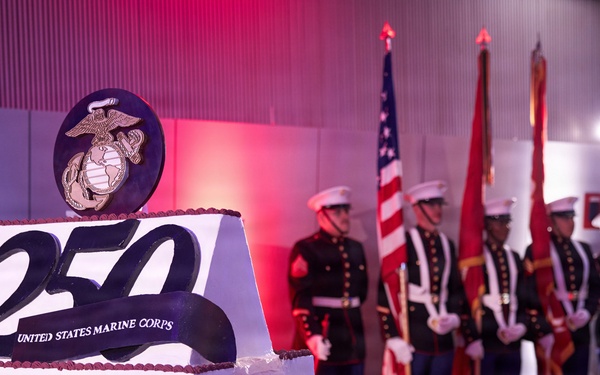 MARFOREUR/AF 250th Marine Corps Birthday Ball