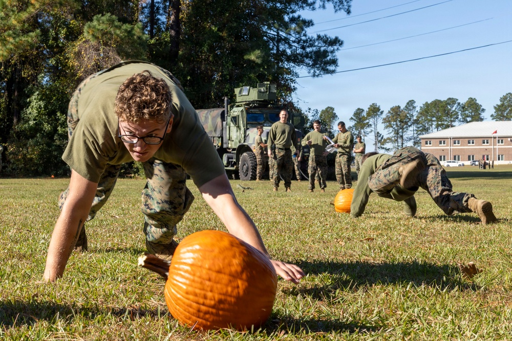 Combat Logistics Battalion 24 Field Meet