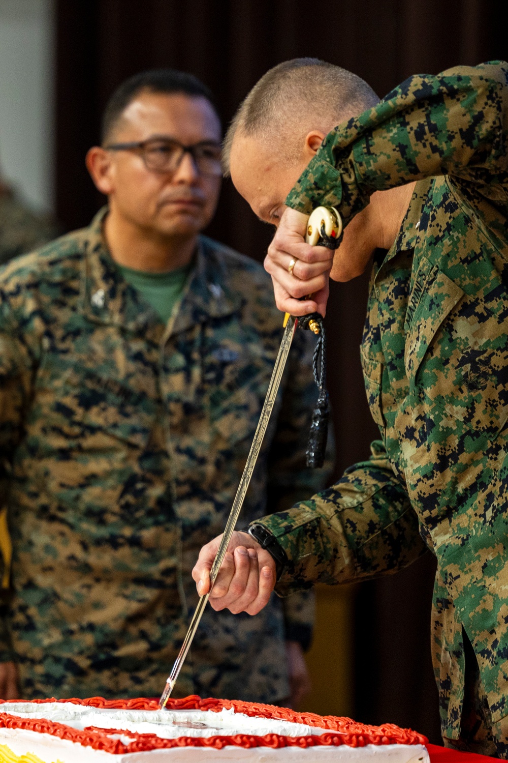 2nd MEB 250th Marine Corps Birthday Cake Cutting Ceremony
