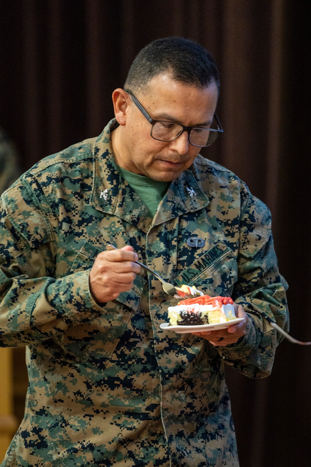 2nd MEB 250th Marine Corps Birthday Cake Cutting Ceremony