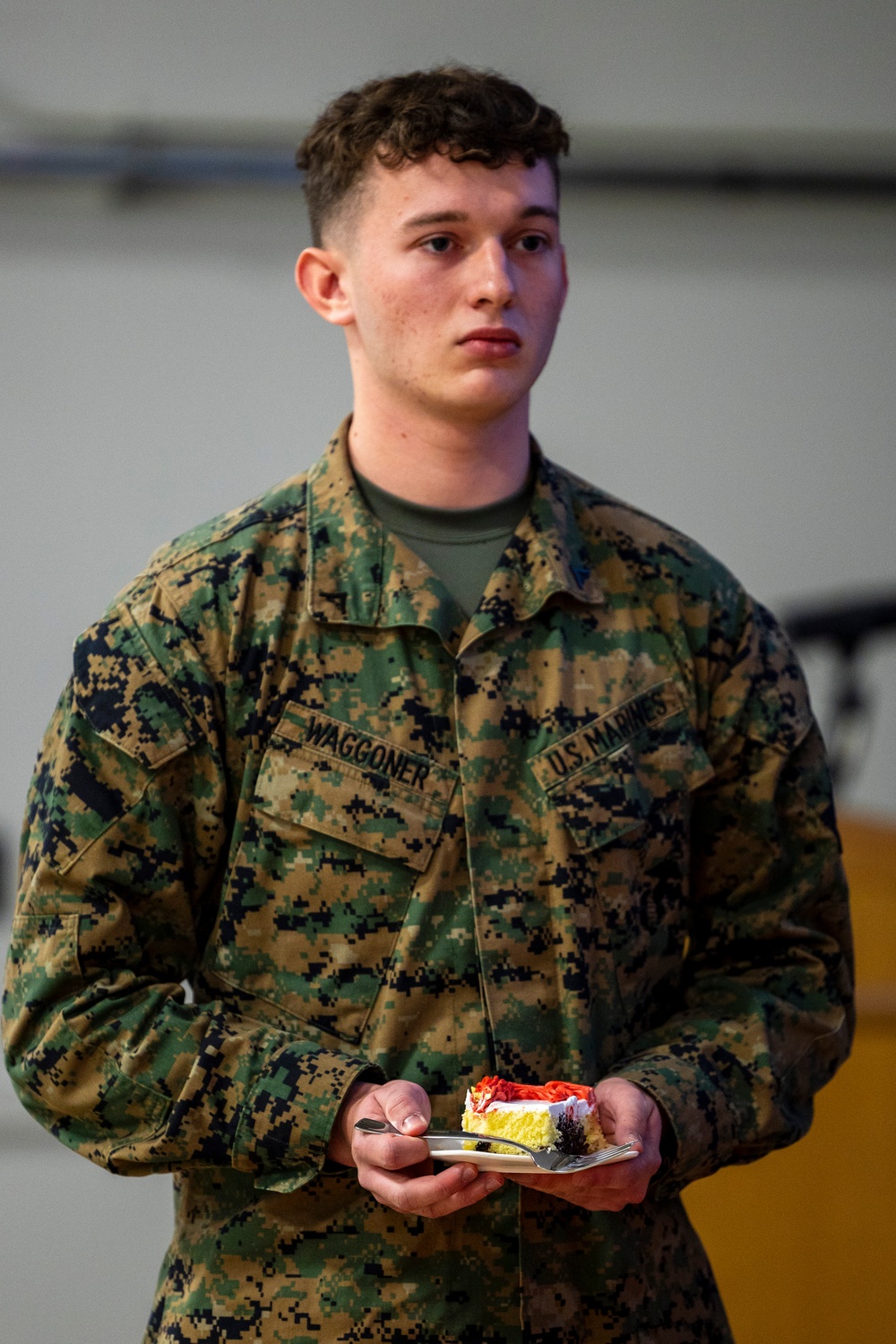 2nd MEB 250th Marine Corps Birthday Cake Cutting Ceremony