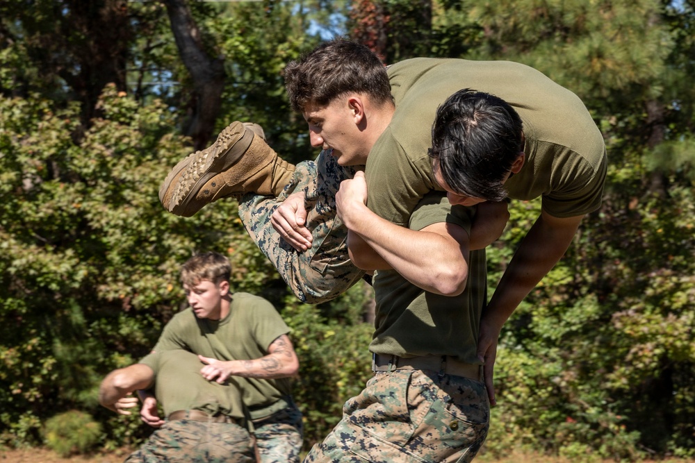 Combat Logistics Battalion 24 Field Meet