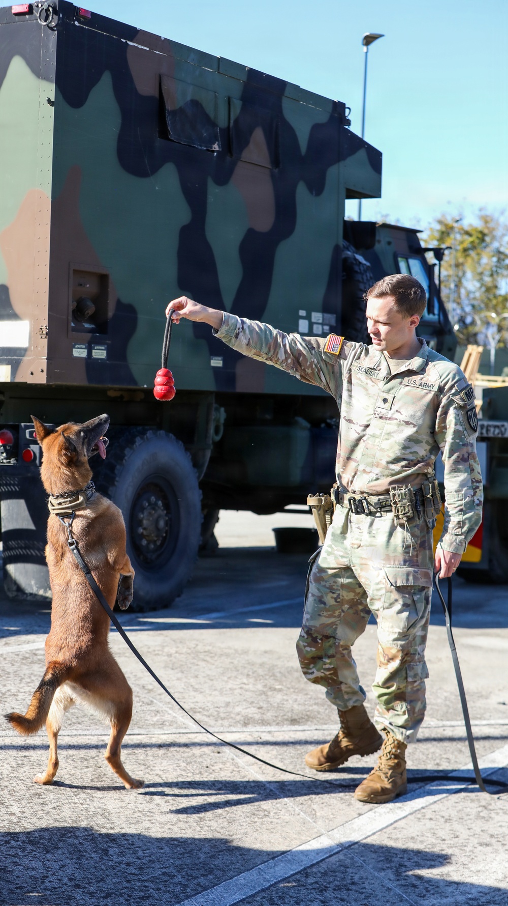 Unleashing potential: Military Working Dogs benefit from new holistic health program