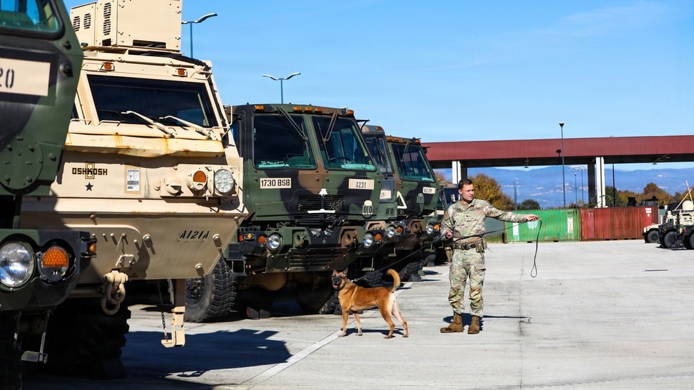 Unleashing potential: Military Working Dogs benefit from new holistic health program
