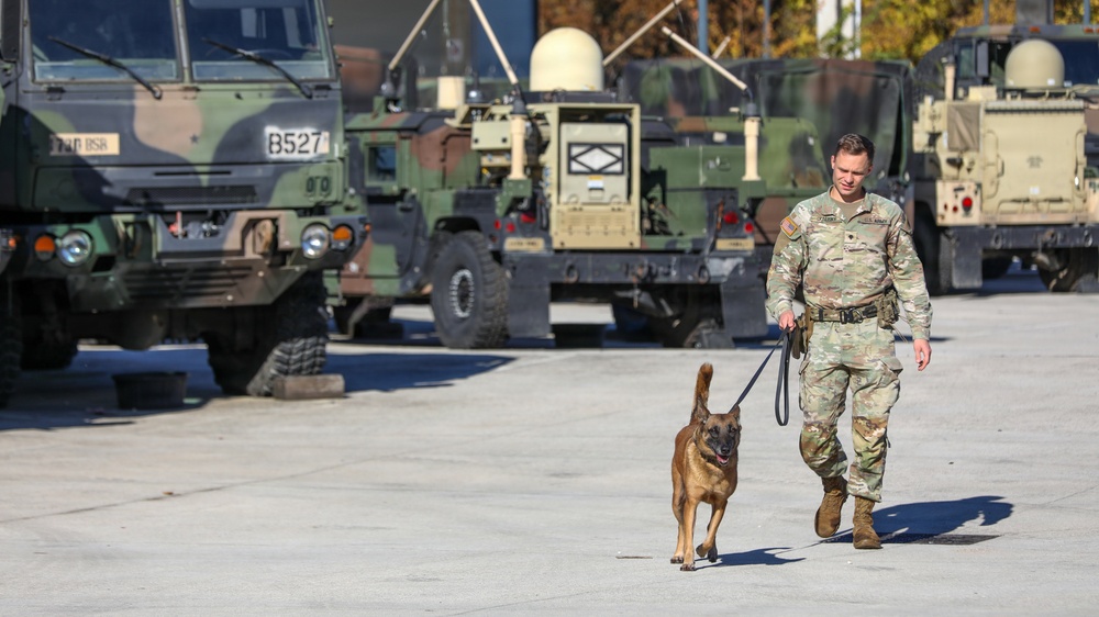 Unleashing potential: Military Working Dogs benefit from new holistic health program