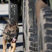Unleashing potential: Military Working Dogs benefit from new holistic health program