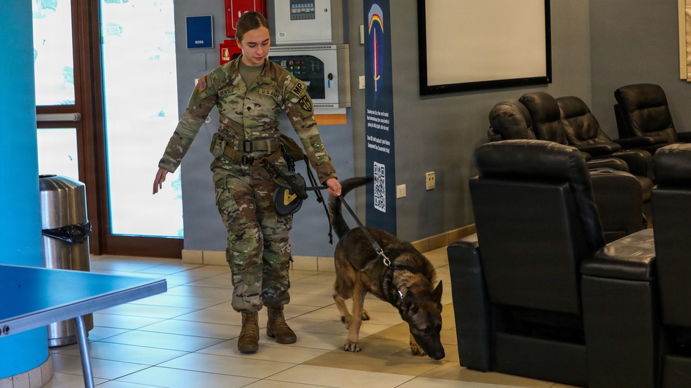 Unleashing potential: Military Working Dogs benefit from new holistic health program