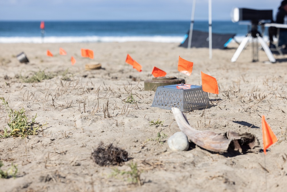 TCE 25.2 demonstrates future capabilities