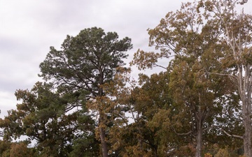 U.S. Marines with MWHS-2 run 250 miles