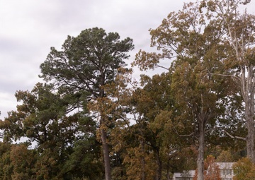 U.S. Marines with MWHS-2 run 250 miles