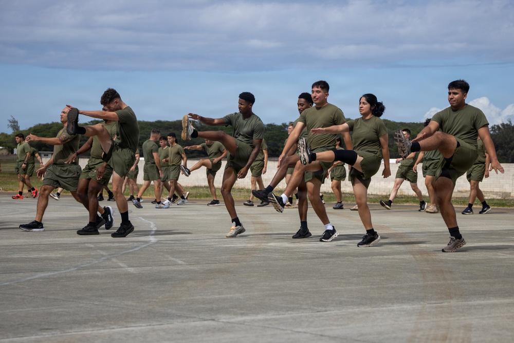 Marines with MCAS (MCBH) Conduct a Unit PT for the 250th USMC Birthday