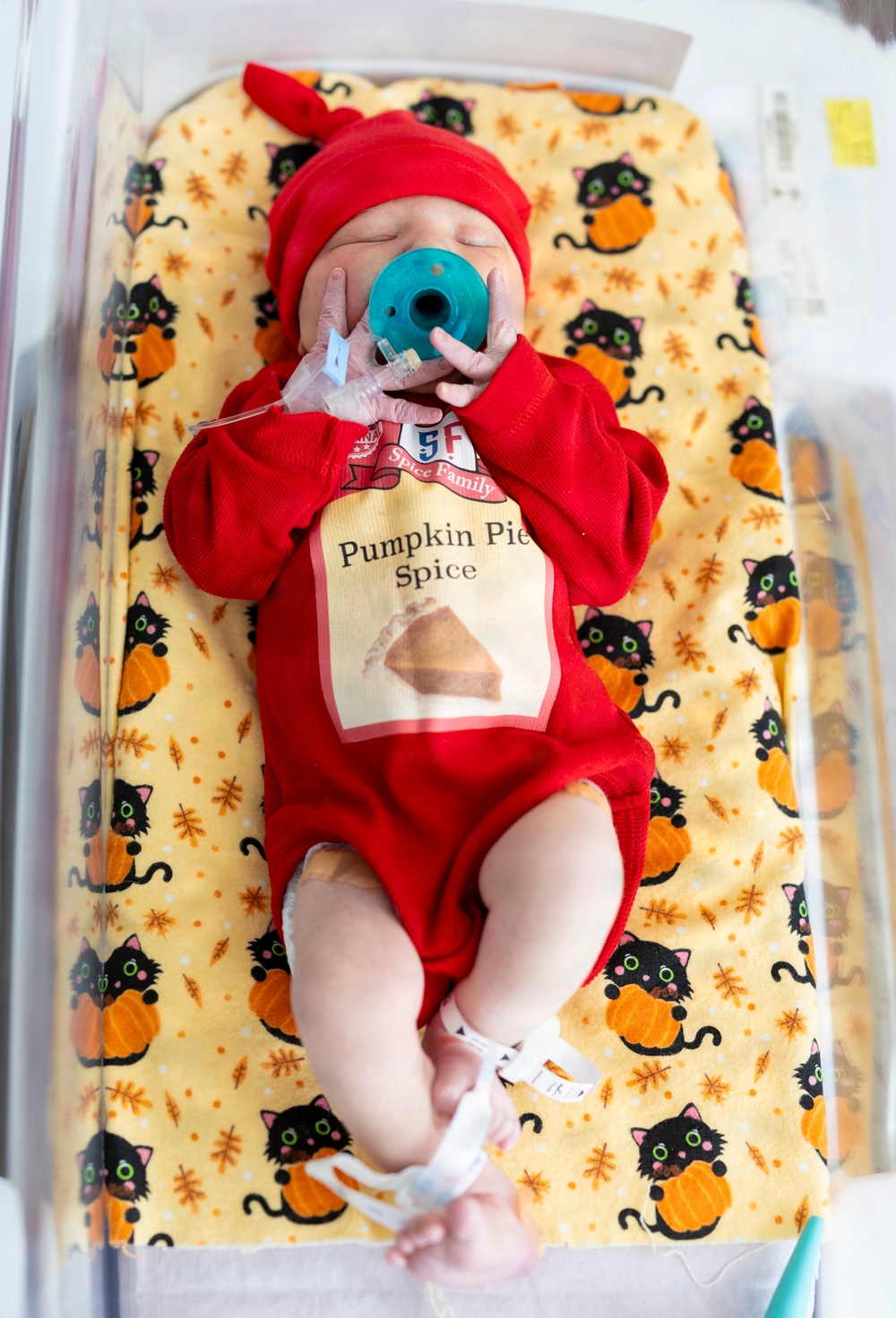 NICU Dashes for Halloween