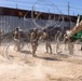 Barrier reinforcement continues along southern border