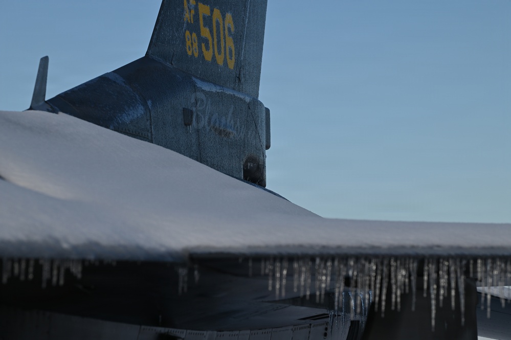 115th Fighter Wing participates in Exercise Sentry Savannah 2025