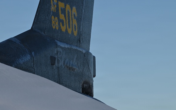 115th Fighter Wing participates in Exercise Sentry Savannah 2025