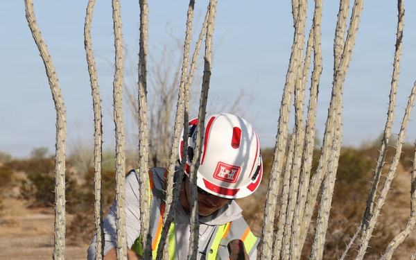 BMGR-1 Environmental Survey