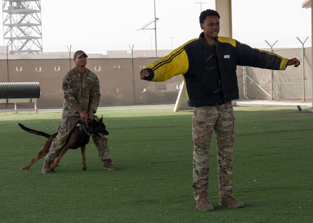 Military working dogs take on EOD