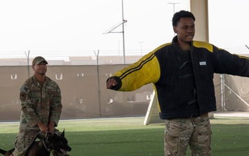 Military working dogs take on EOD