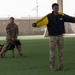 Military working dogs take on EOD