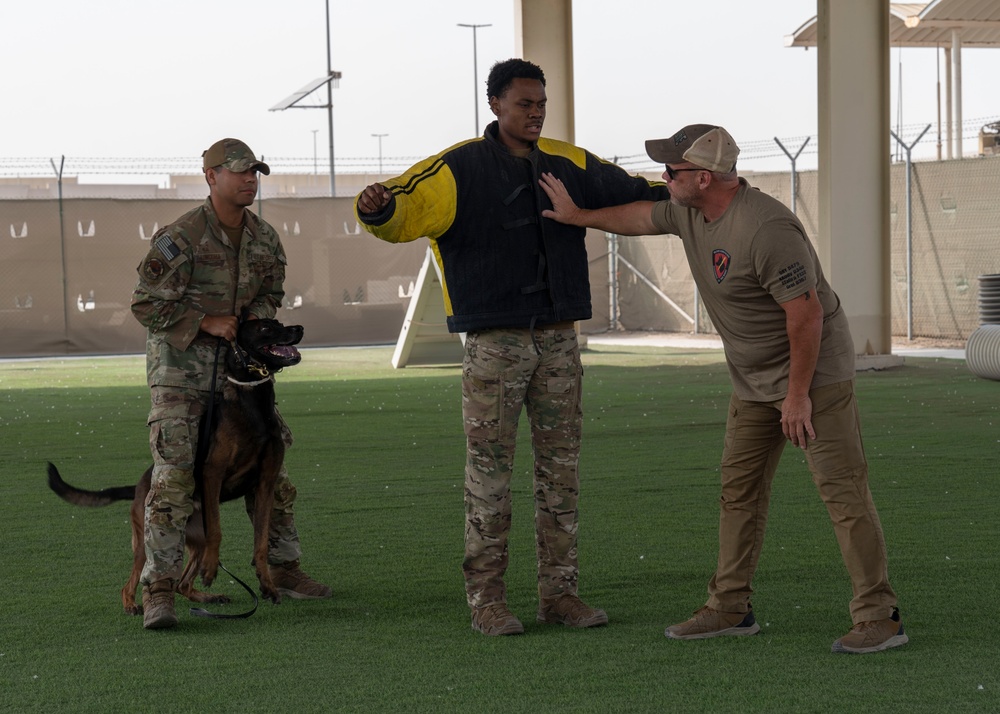 Military working dogs take on EOD