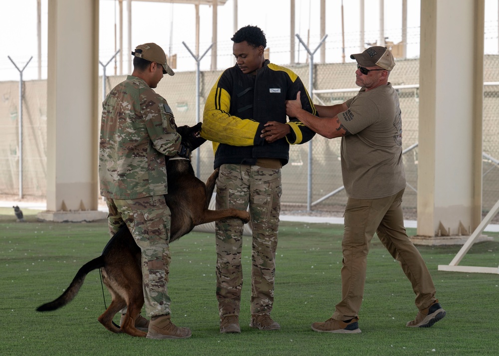 Military working dogs take on EOD
