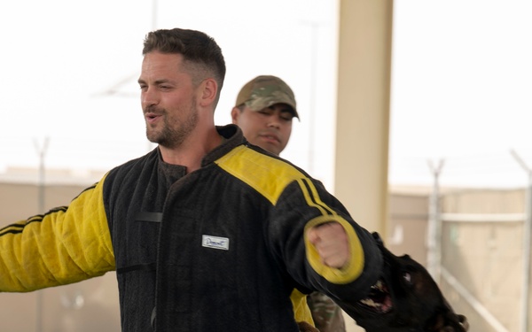 Military working dogs take on EOD