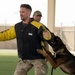 Military working dogs take on EOD