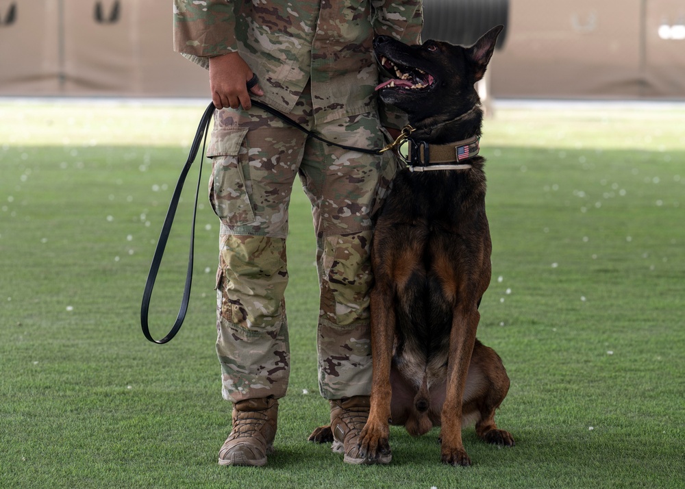 Military working dogs take on EOD