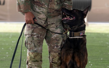 Military working dogs take on EOD