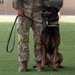 Military working dogs take on EOD