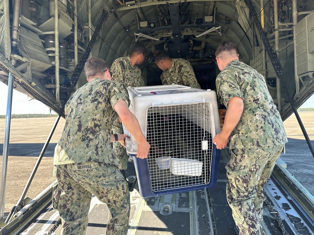 Naval Station Guantanamo Bay Non-Mission Essential Personnel Returning from NAS Pensacola