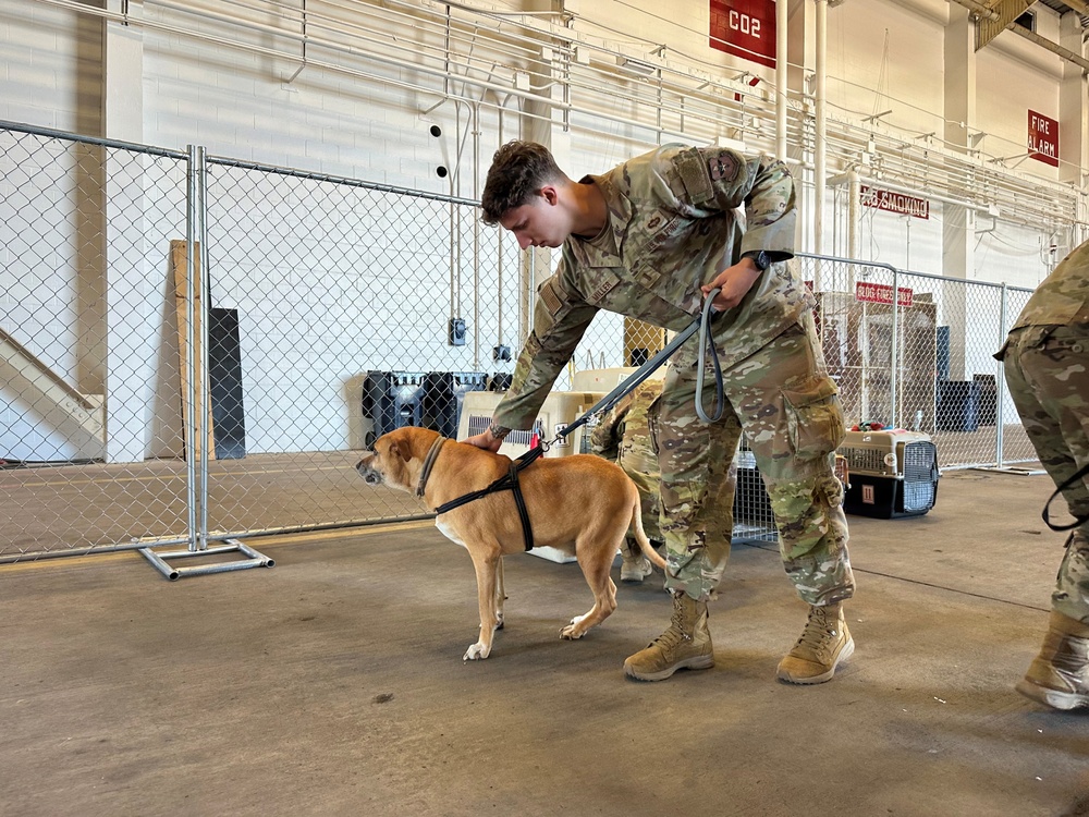 Naval Station Guantanamo Bay Non-Mission Essential Personnel Returning from NAS Pensacola
