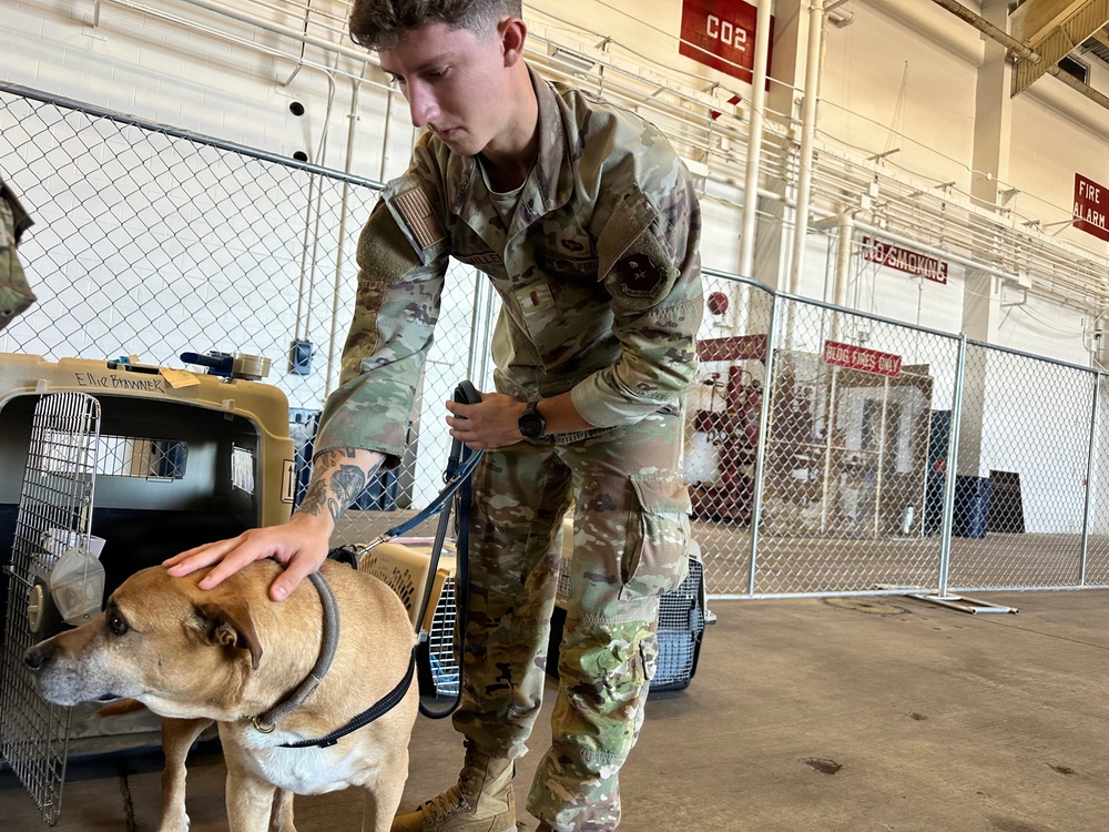 Naval Station Guantanamo Bay Non-Mission Essential Personnel Returning from NAS Pensacola