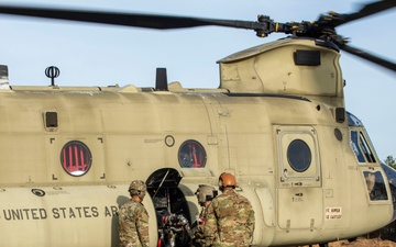 Operation Viper Strike VALEX