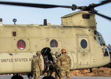 Operation Viper Strike VALEX