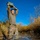 90th Security Forces Group Crushes Crow Creek Challenge 2025