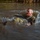90th Security Forces Group Crushes Crow Creek Challenge 2025