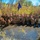 90th Security Forces Group Crushes Crow Creek Challenge 2025